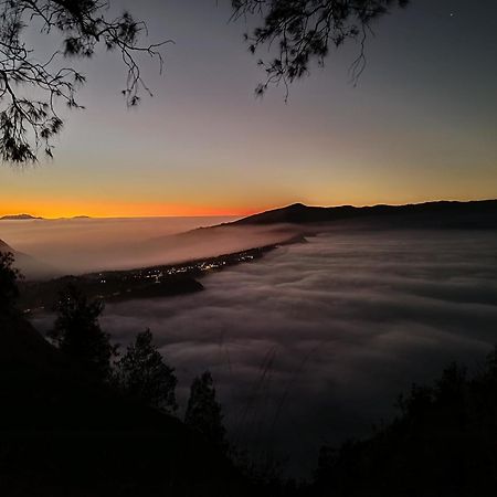 Uciek Tengger Bromo Ngadisari Exterior foto